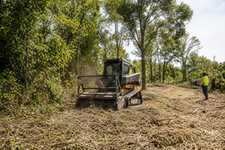 Tree and Brush Clearing
